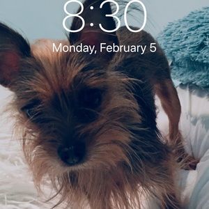 Meet your Posher, Deja